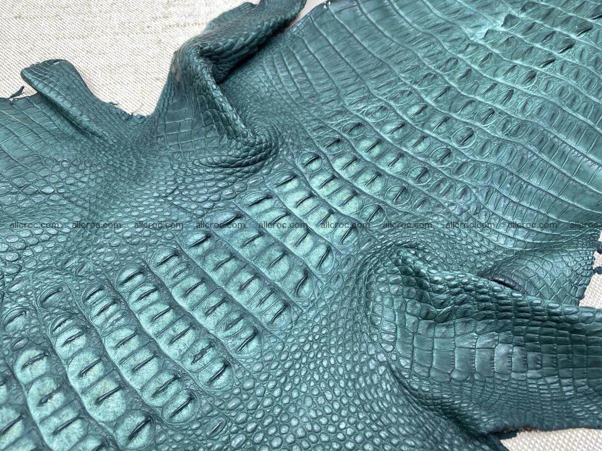 Crocodile leather back part with head and paws 34cm emerald color 1567 Foto 5