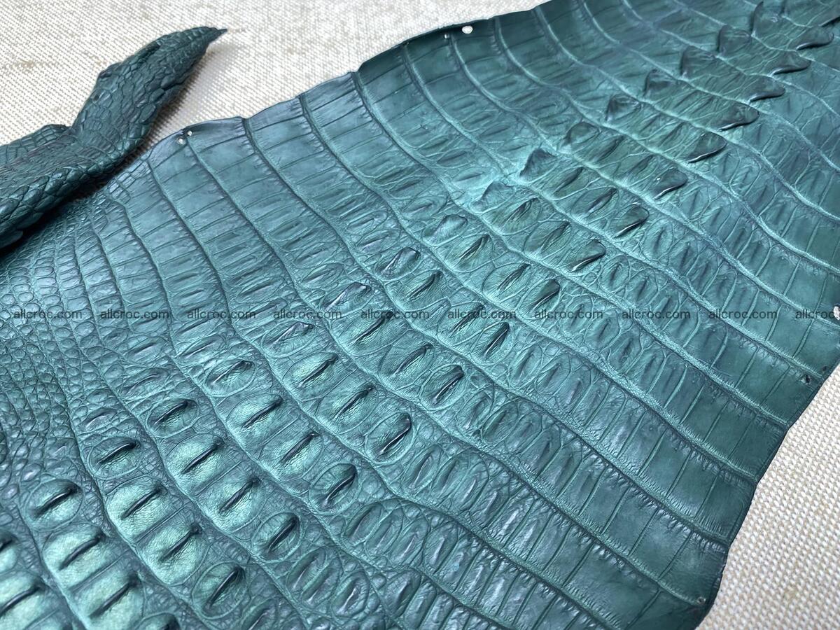 Crocodile leather back part with head and paws 34cm emerald color 1567 Foto 6