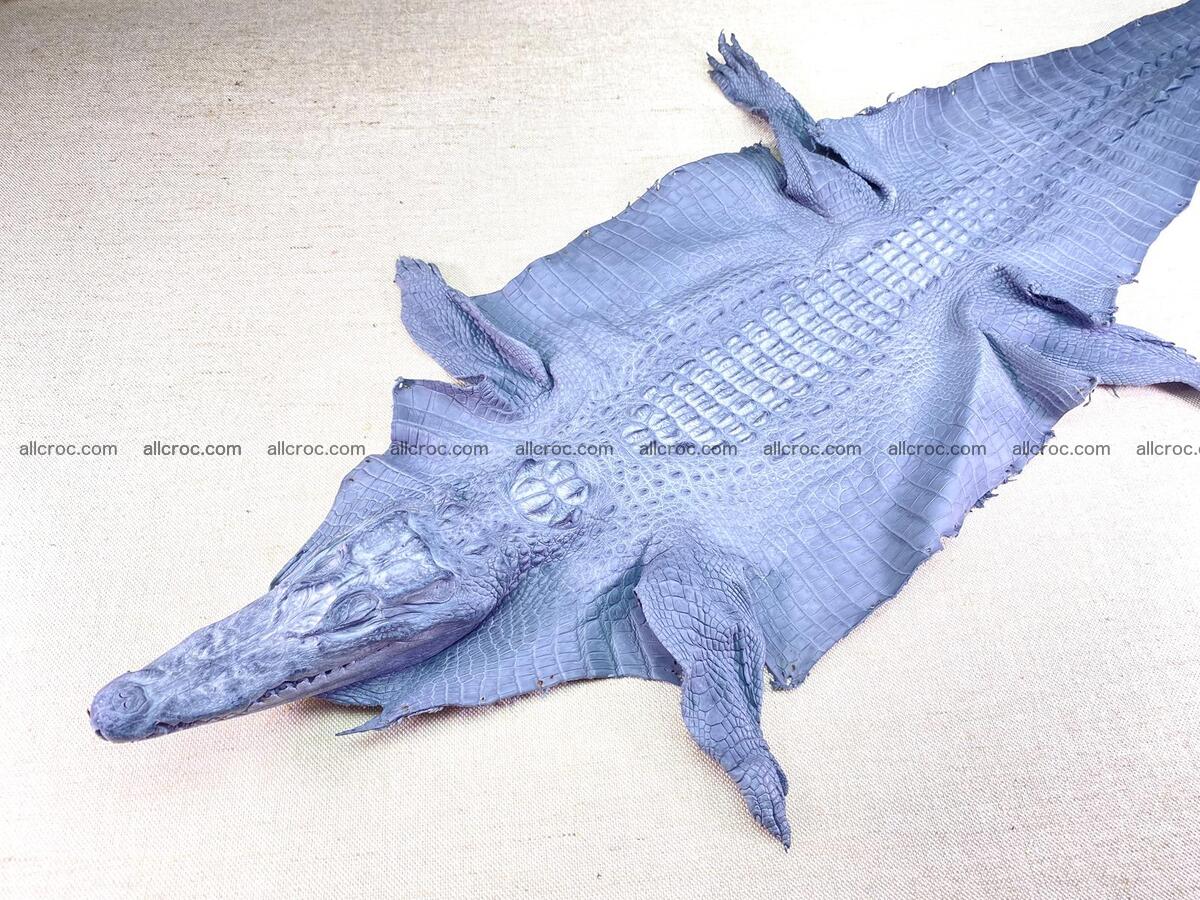 Crocodile leather back part with head and paws 33cm gray color 1561 Foto 0
