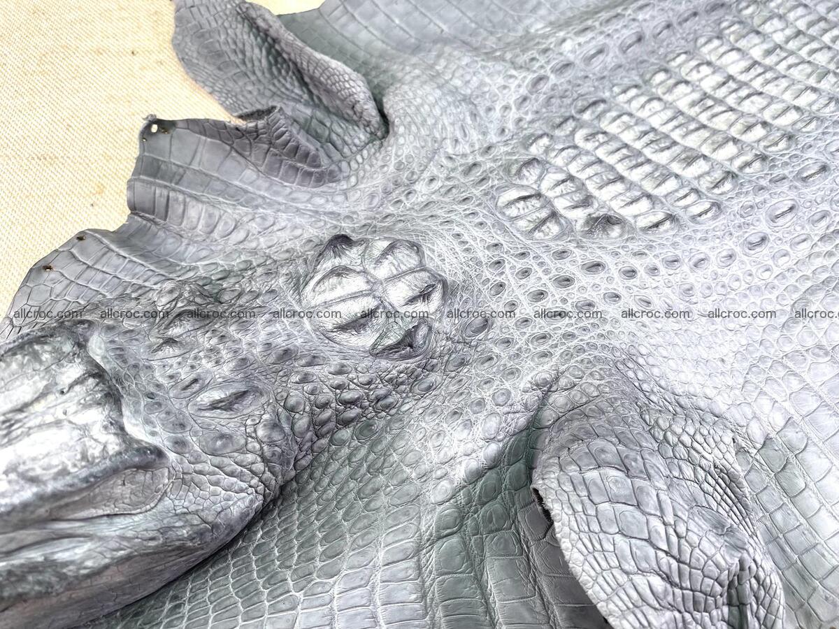 Crocodile leather back part with head and paws 33cm gray color 1561 Foto 2
