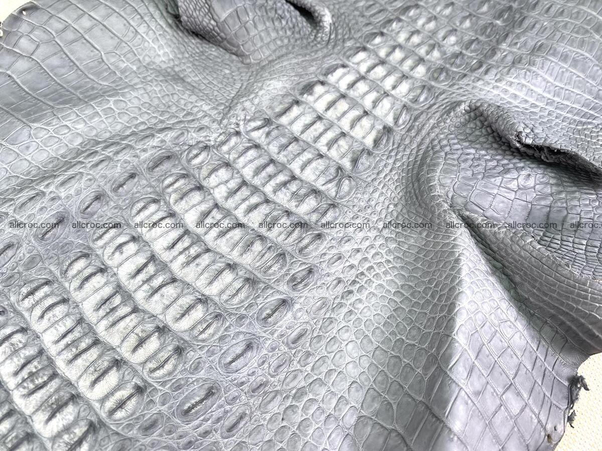 Crocodile leather back part with head and paws 33cm gray color 1561 Foto 5