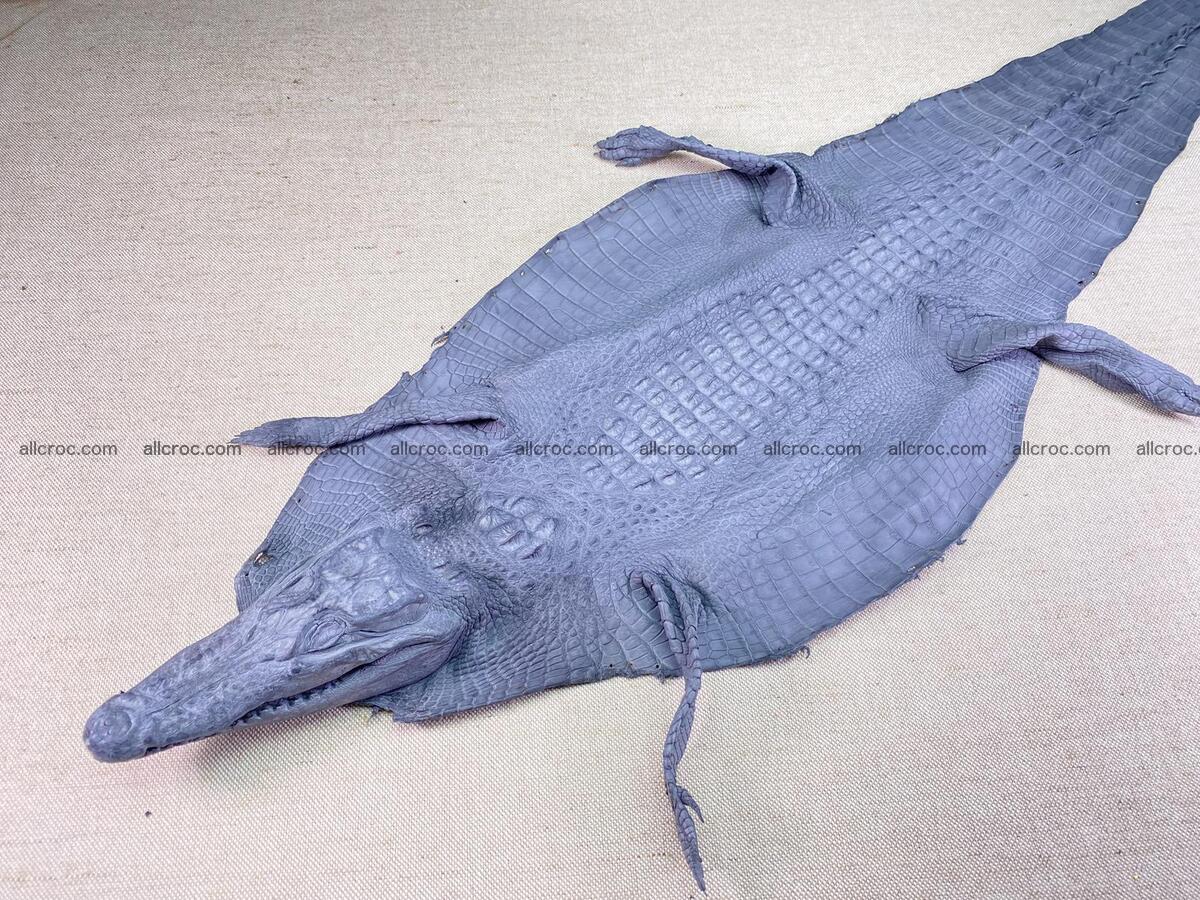 Crocodile leather back part with head and paws 32cm gray color 1562 Foto 0