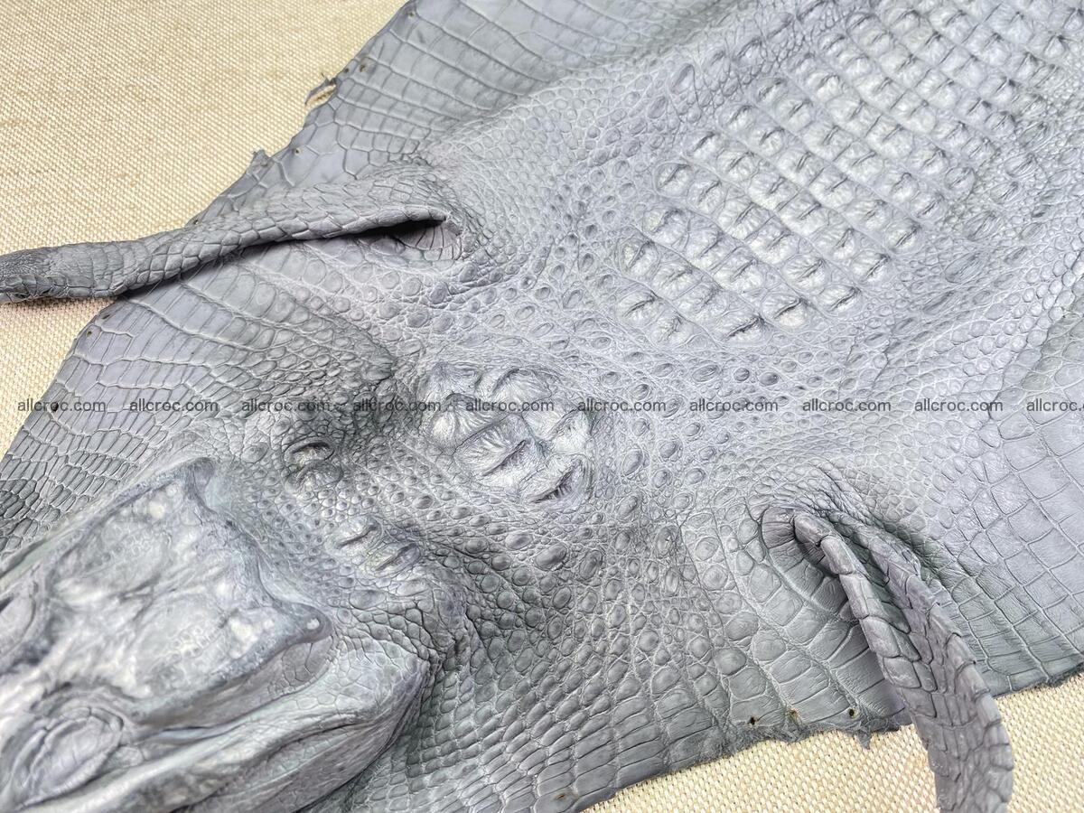 Crocodile leather back part with head and paws 32cm gray color 1562 Foto 2