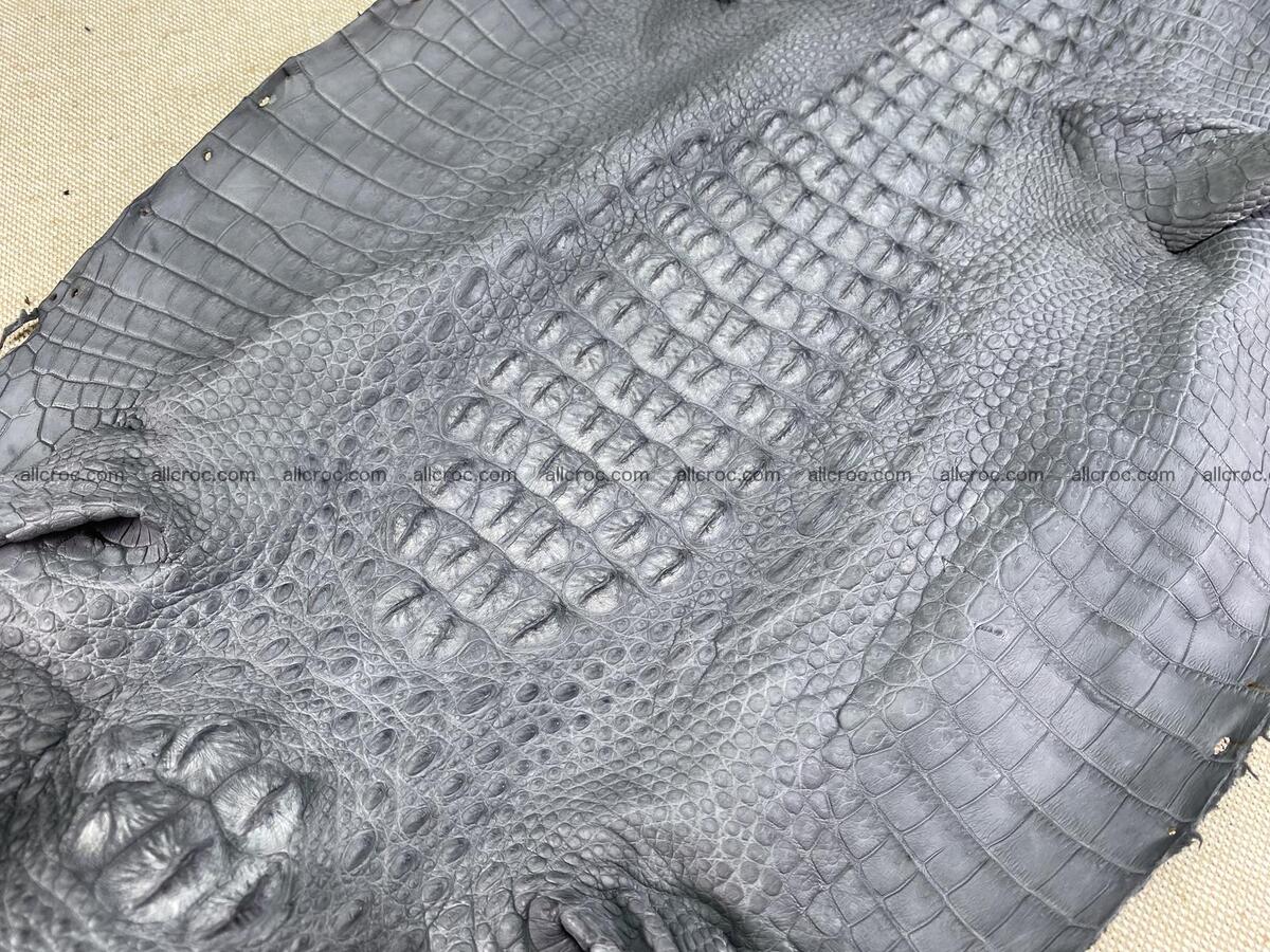 Crocodile leather back part with head and paws 32cm gray color 1562 Foto 3