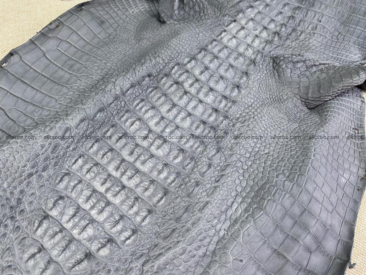 Crocodile leather back part with head and paws 32cm gray color 1562 Foto 4
