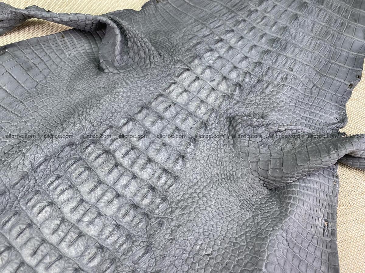 Crocodile leather back part with head and paws 32cm gray color 1562 Foto 5