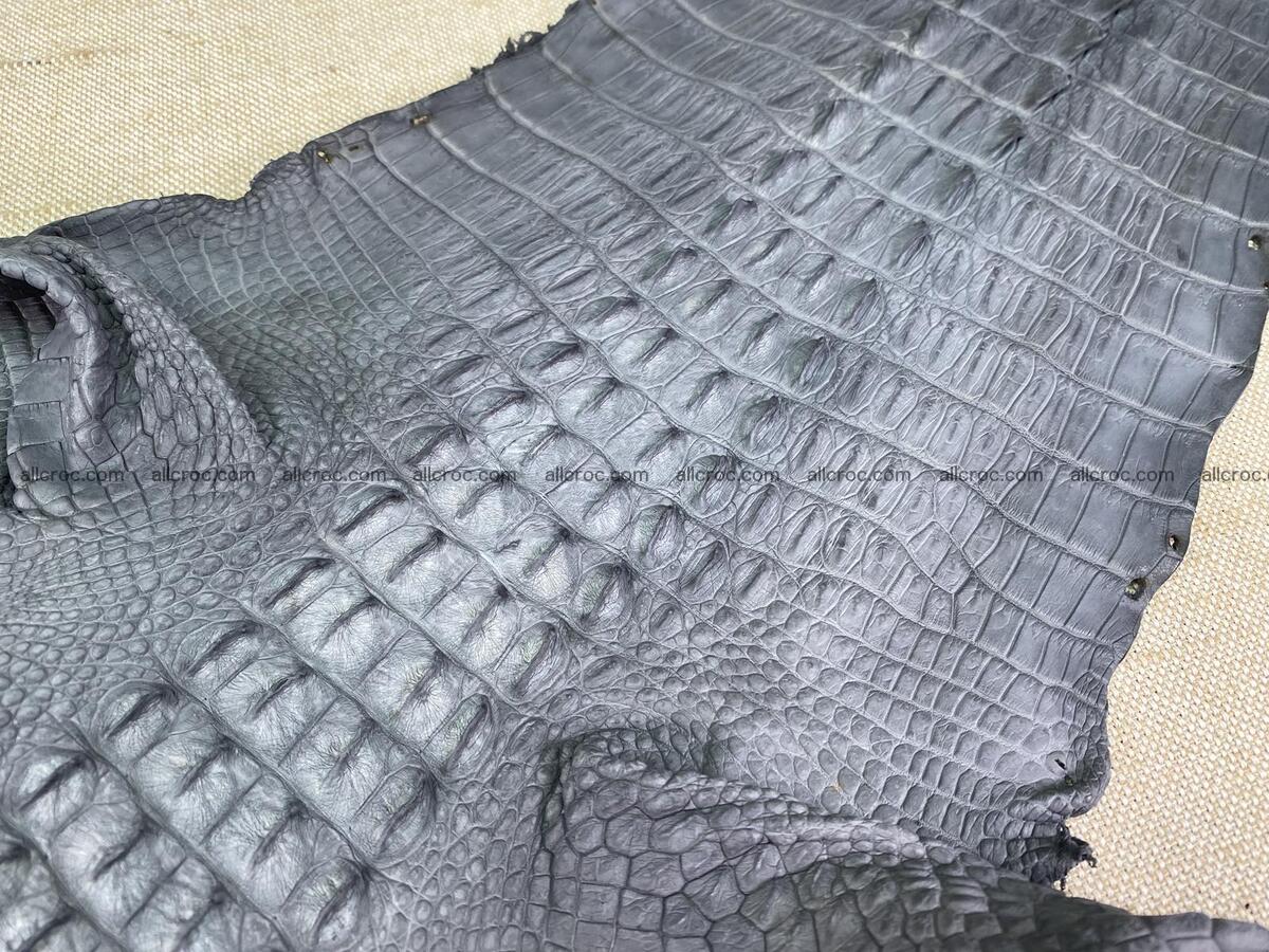 Crocodile leather back part with head and paws 32cm gray color 1562 Foto 6