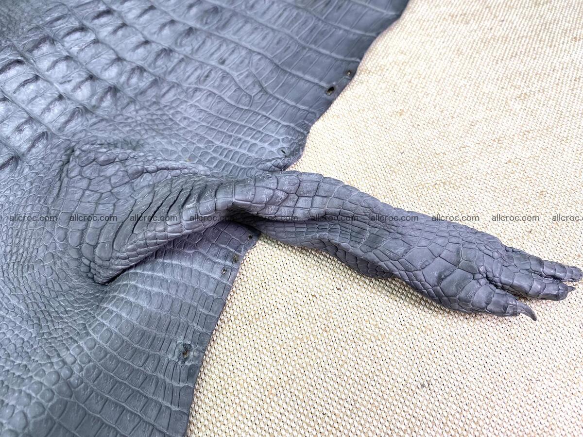 Crocodile leather back part with head and paws 32cm gray color 1562 Foto 8