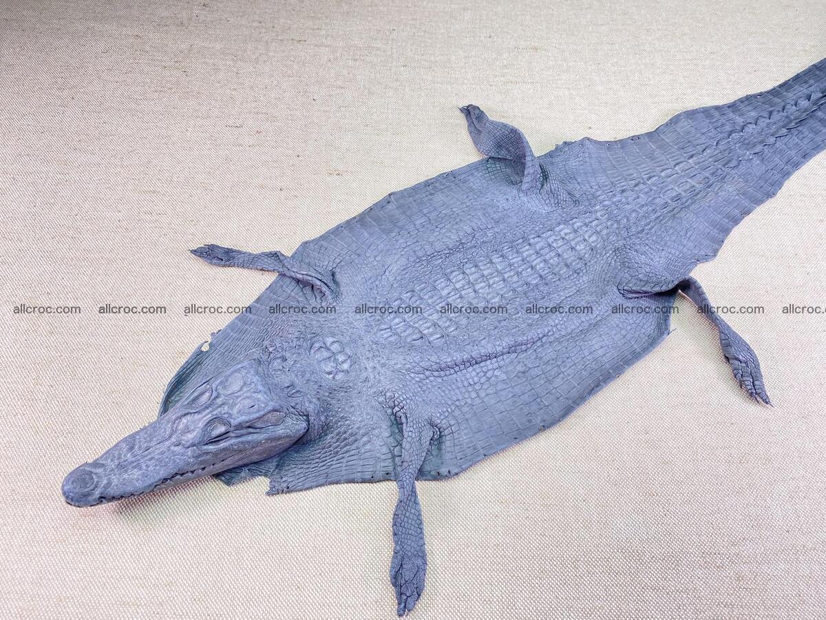 Crocodile leather back part with head and paws 23cm gray color 1564 Foto 0