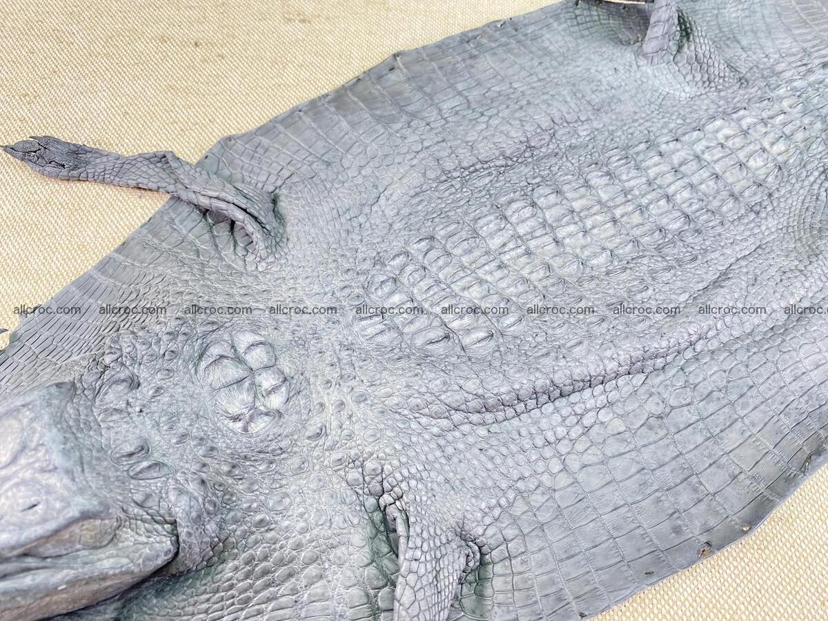 Crocodile leather back part with head and paws 23cm gray color 1564 Foto 2