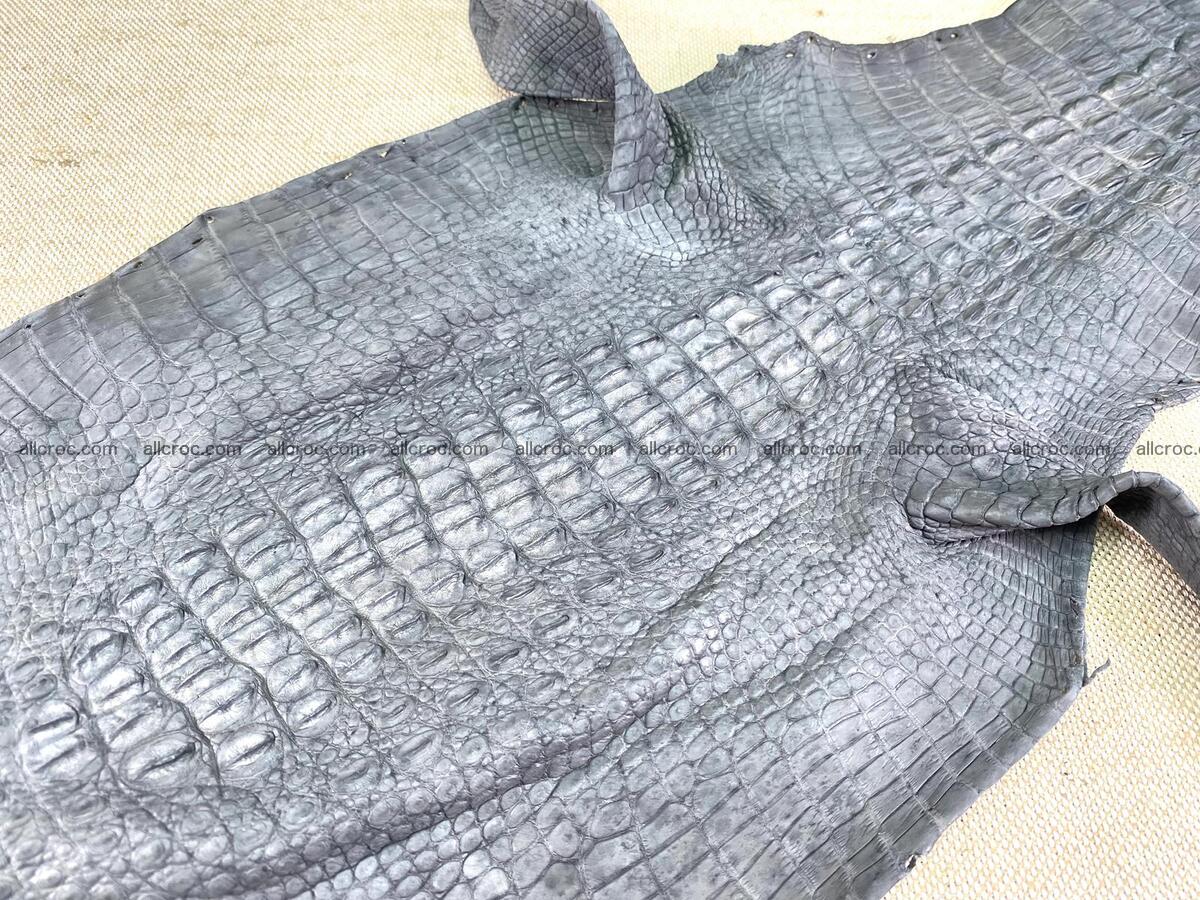 Crocodile leather back part with head and paws 23cm gray color 1564 Foto 3