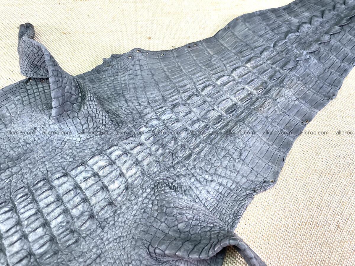 Crocodile leather back part with head and paws 23cm gray color 1564 Foto 4