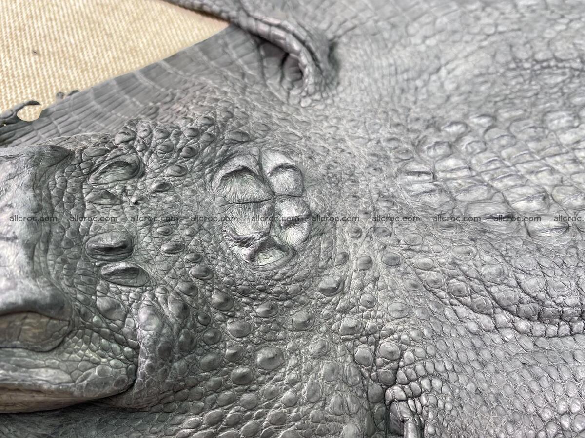 Crocodile leather back part with head and paws 23cm gray color 1564 Foto 6