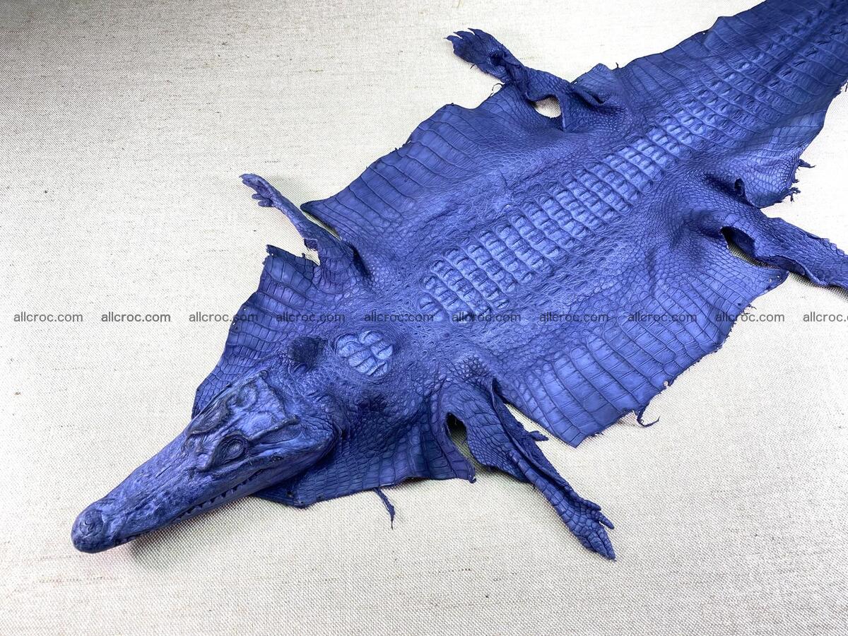 Crocodile leather back part with head and paws 35cm navy blue color 1556 Foto 0