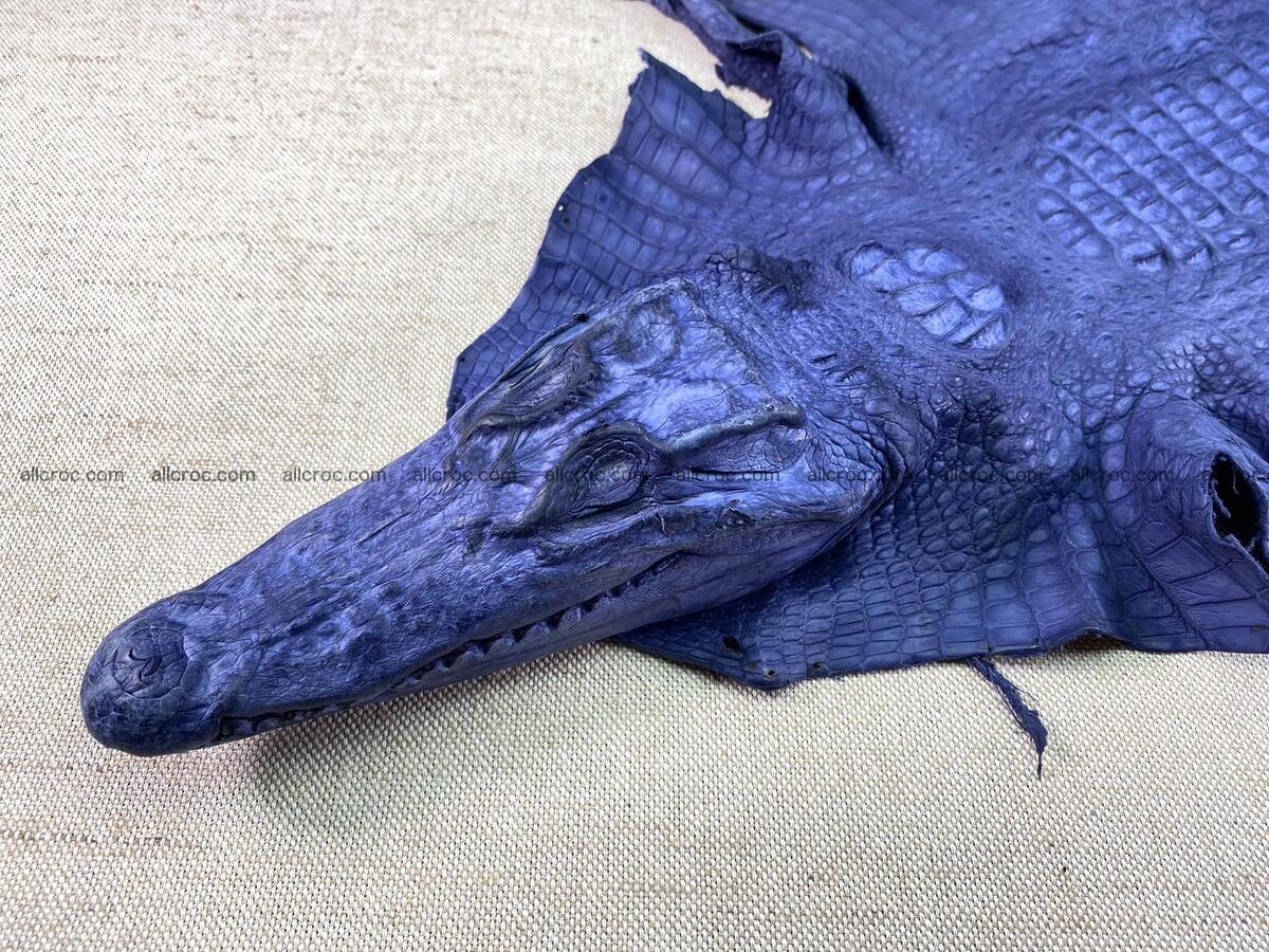 Crocodile leather back part with head and paws 35cm navy blue color 1556 Foto 1