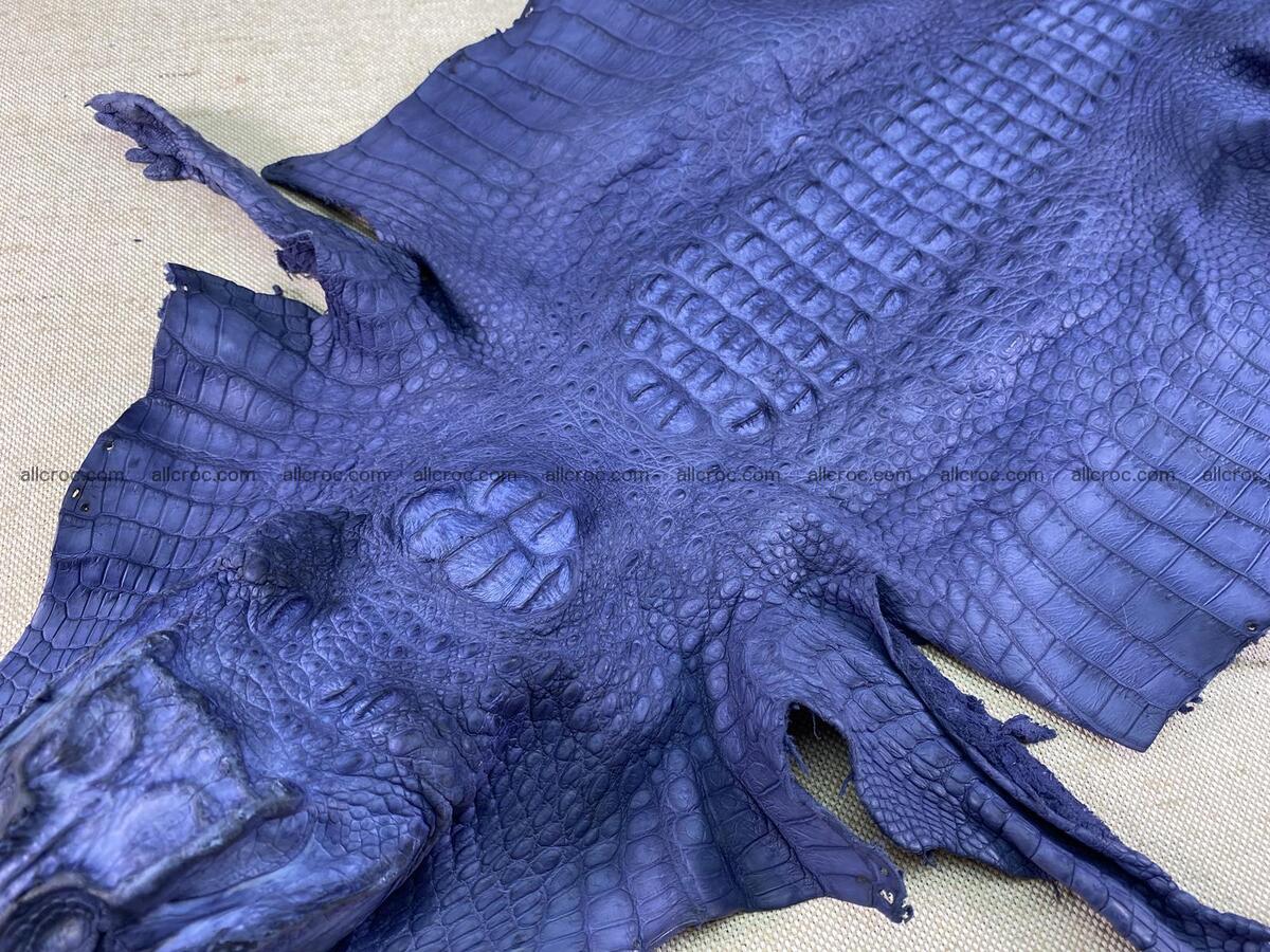 Crocodile leather back part with head and paws 35cm navy blue color 1556 Foto 2
