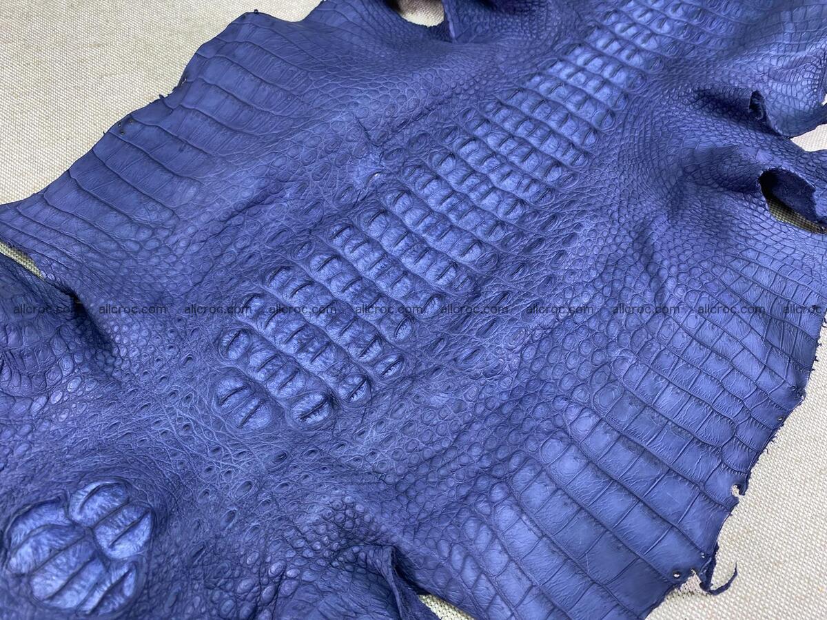 Crocodile leather back part with head and paws 35cm navy blue color 1556 Foto 3