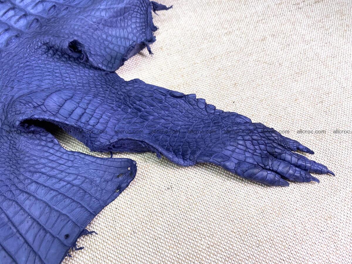 Crocodile leather back part with head and paws 35cm navy blue color 1556 Foto 7