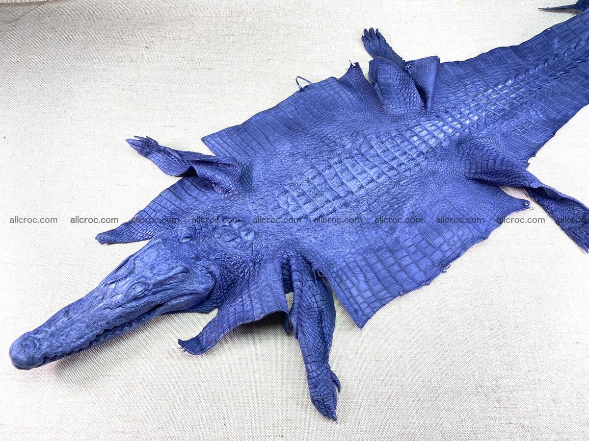 Crocodile leather back part with head and paws 33cm navy blue color 1558 Foto 0