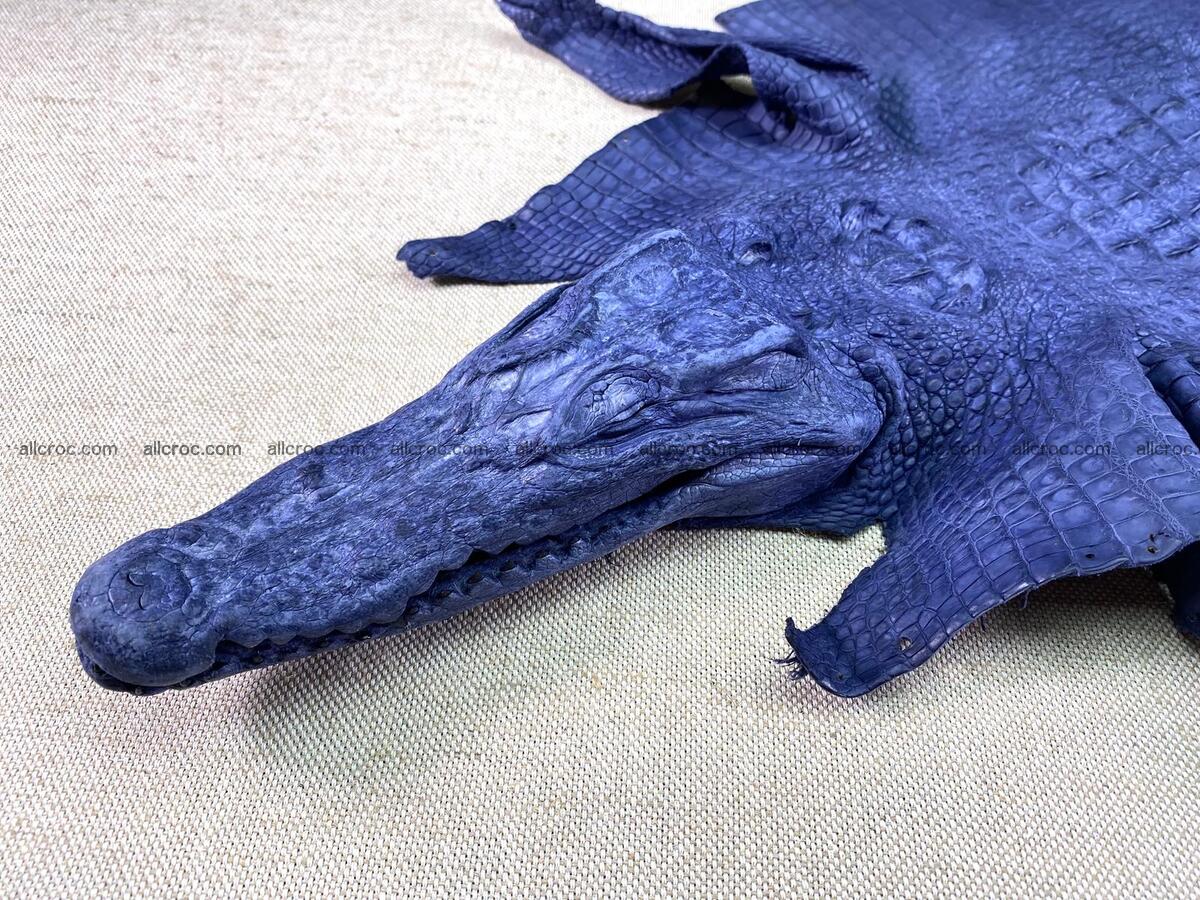 Crocodile leather back part with head and paws 33cm navy blue color 1558 Foto 1