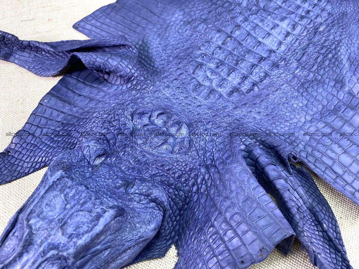 Crocodile leather back part with head and paws 33cm navy blue color 1558 Foto 2
