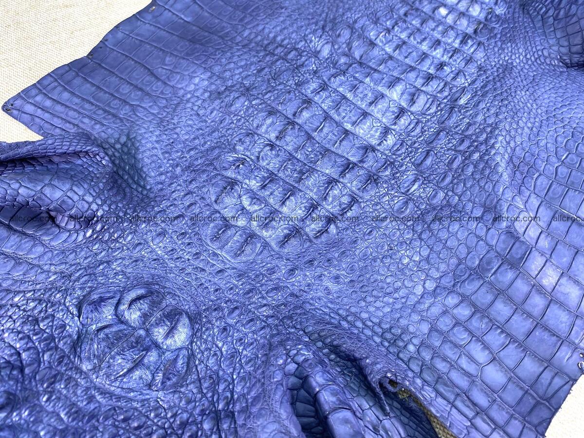 Crocodile leather back part with head and paws 33cm navy blue color 1558 Foto 3