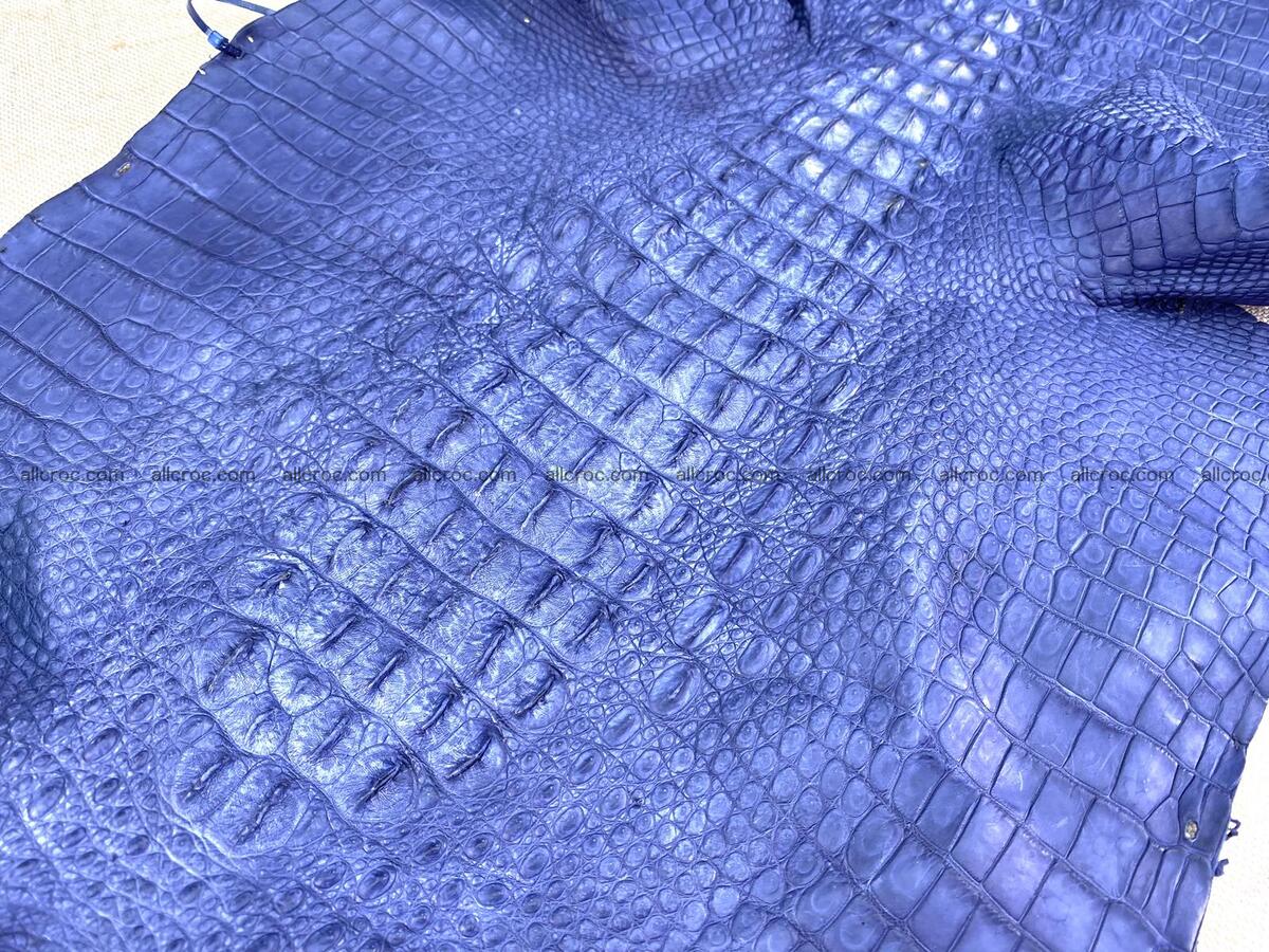 Crocodile leather back part with head and paws 33cm navy blue color 1558 Foto 4