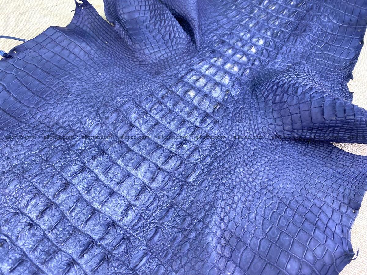 Crocodile leather back part with head and paws 33cm navy blue color 1558 Foto 5