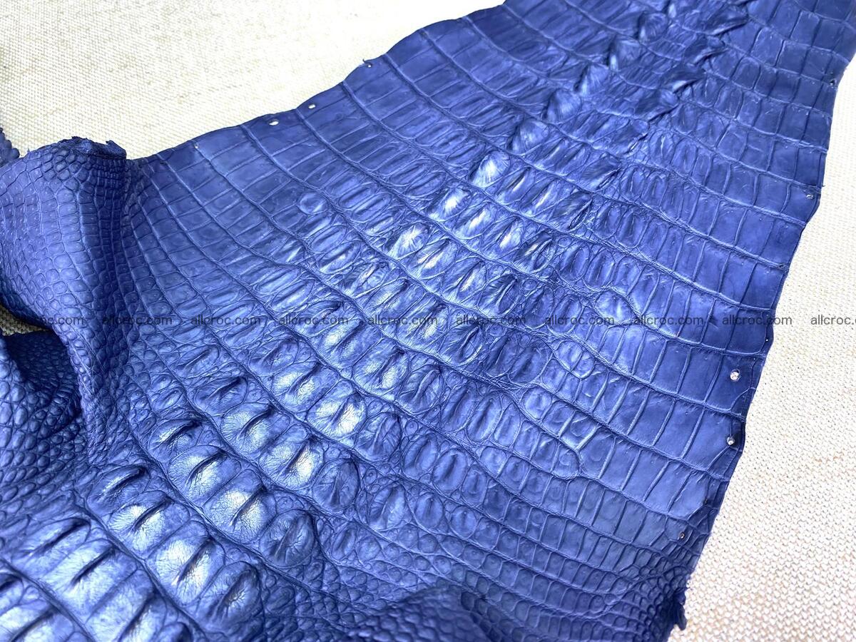 Crocodile leather back part with head and paws 33cm navy blue color 1558 Foto 7
