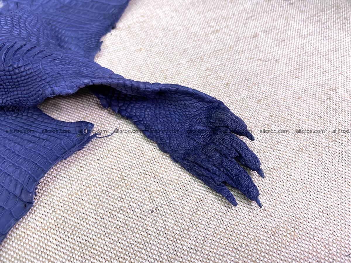 Crocodile leather back part with head and paws 33cm navy blue color 1558 Foto 8