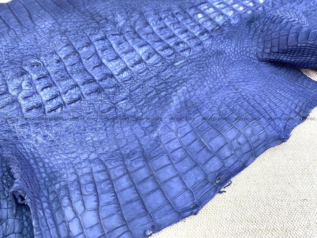 Crocodile leather back part with head and paws 33cm navy blue color 1558 Foto 9