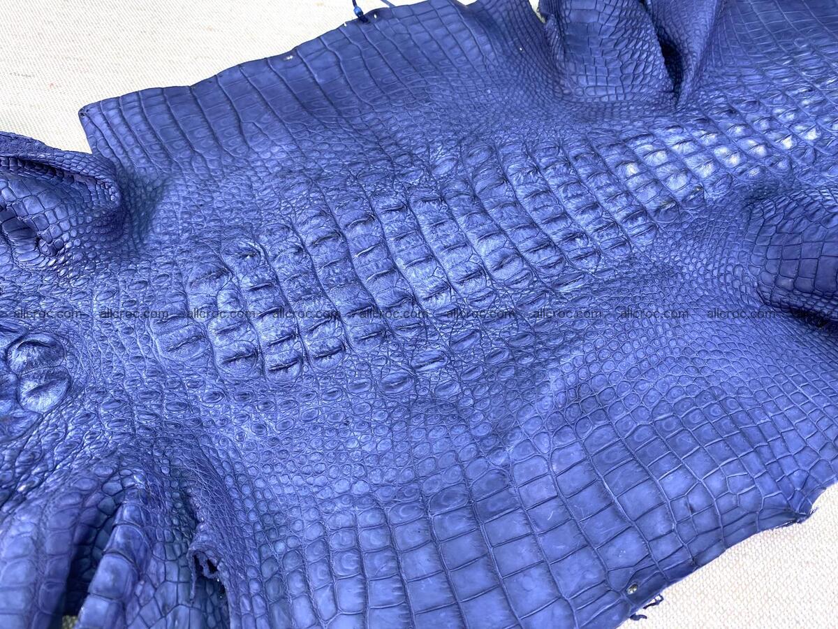 Crocodile leather back part with head and paws 33cm navy blue color 1558 Foto 10