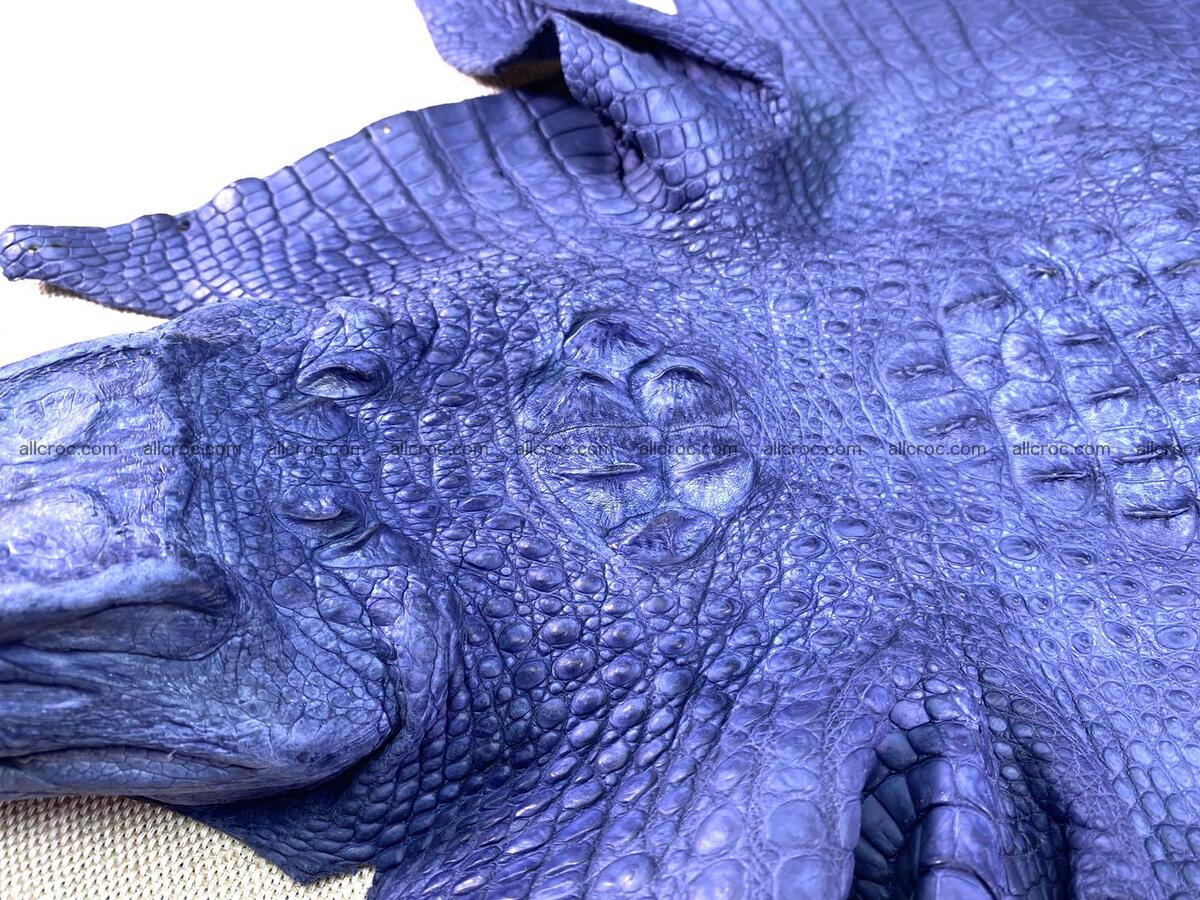 Crocodile leather back part with head and paws 33cm navy blue color 1558 Foto 11