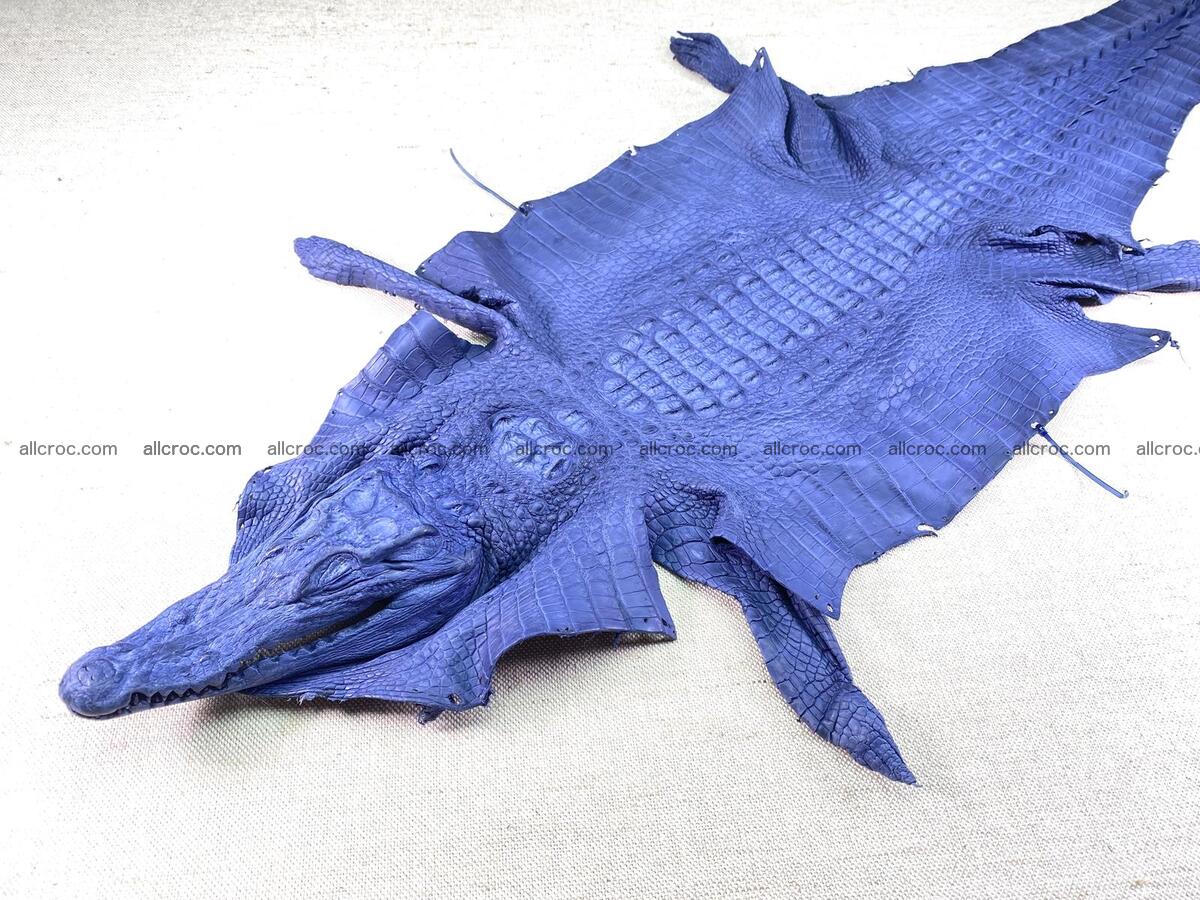 Crocodile leather back part with head and paws 31cm navy blue color 1559 Foto 0