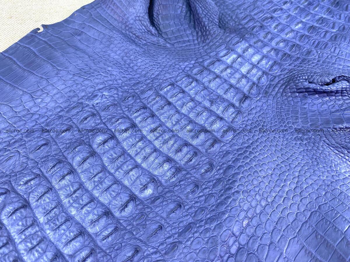 Crocodile leather back part with head and paws 31cm navy blue color 1559 Foto 5