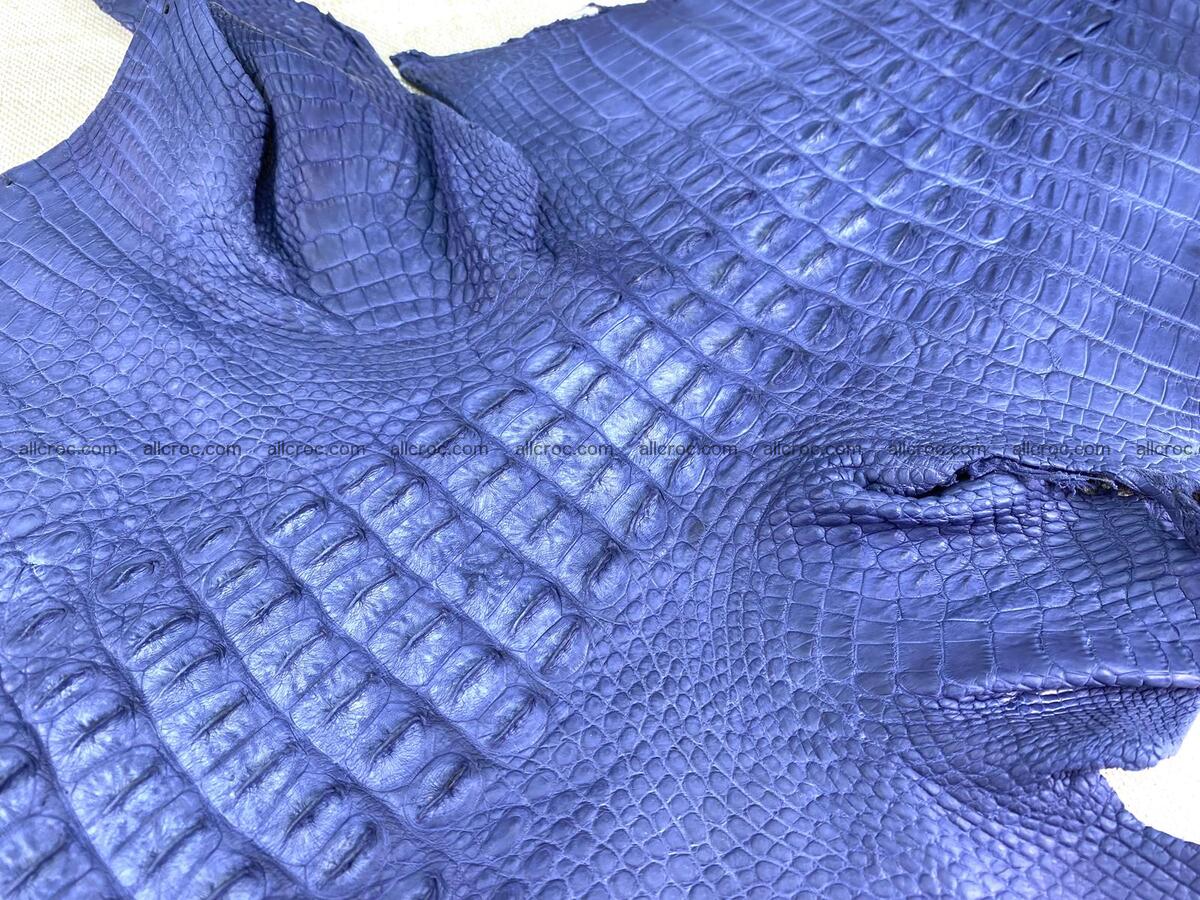 Crocodile leather back part with head and paws 31cm navy blue color 1559 Foto 6