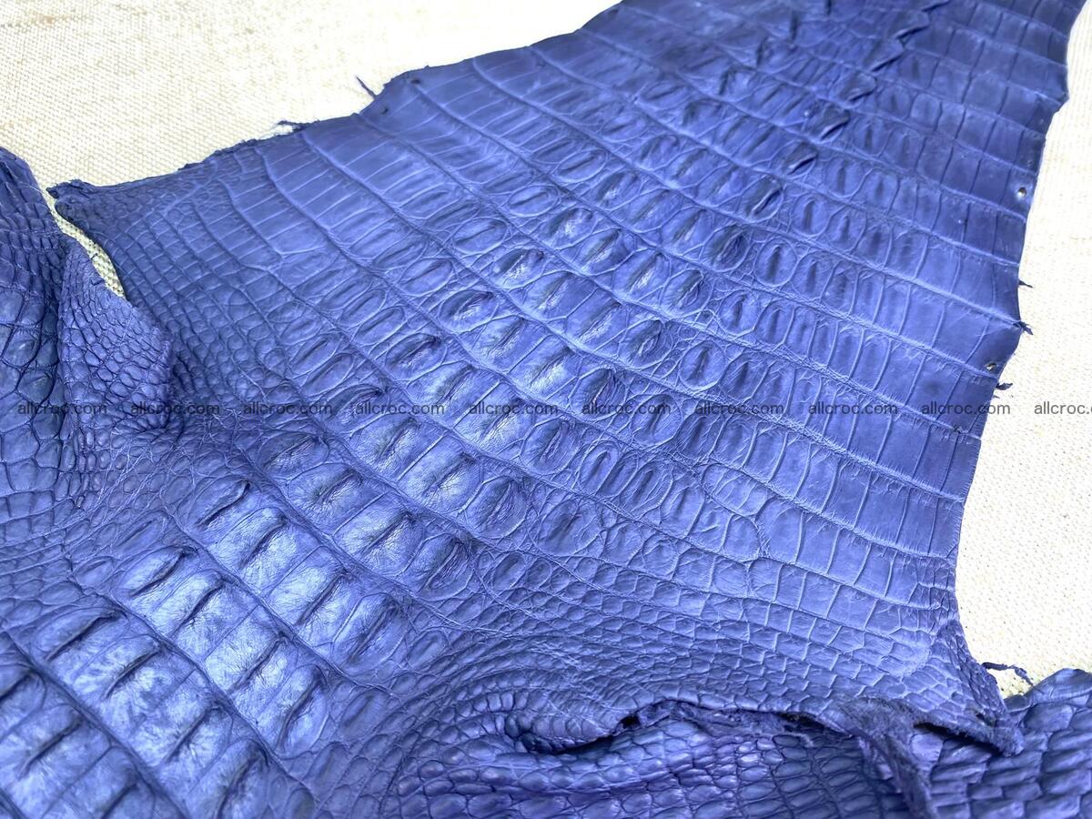 Crocodile leather back part with head and paws 31cm navy blue color 1559 Foto 7