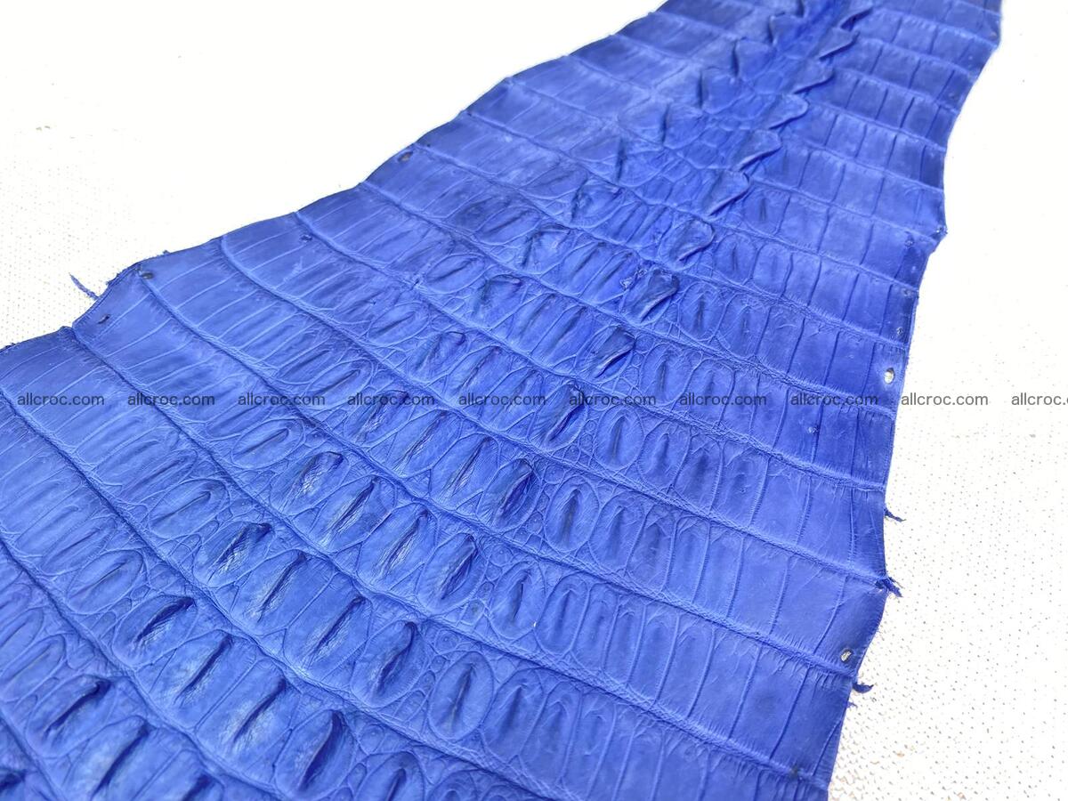 Crocodile leather back part with head and paws 31cm navy blue color 1559 Foto 8