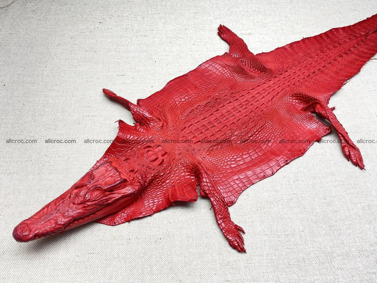 Crocodile leather back part with head and paws 26cm red color 1566 Foto 0