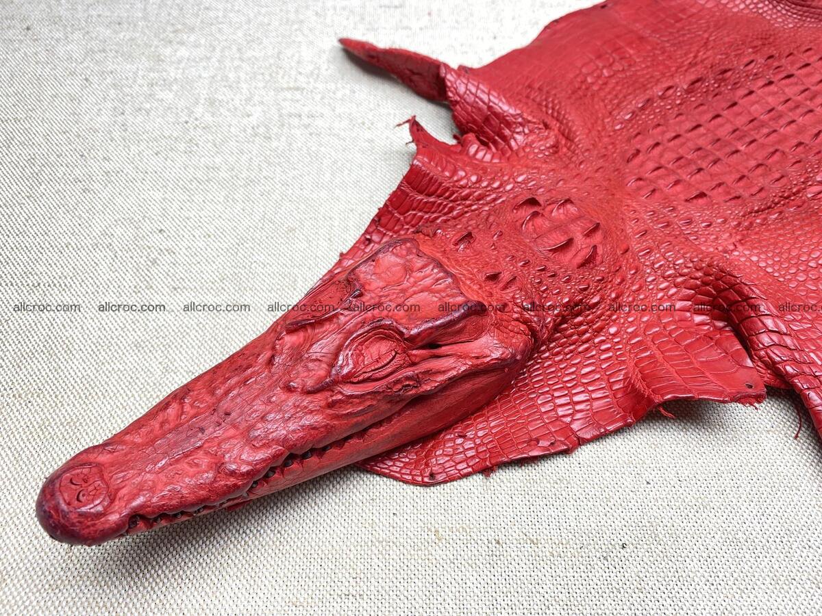 Crocodile leather back part with head and paws 26cm red color 1566 Foto 1