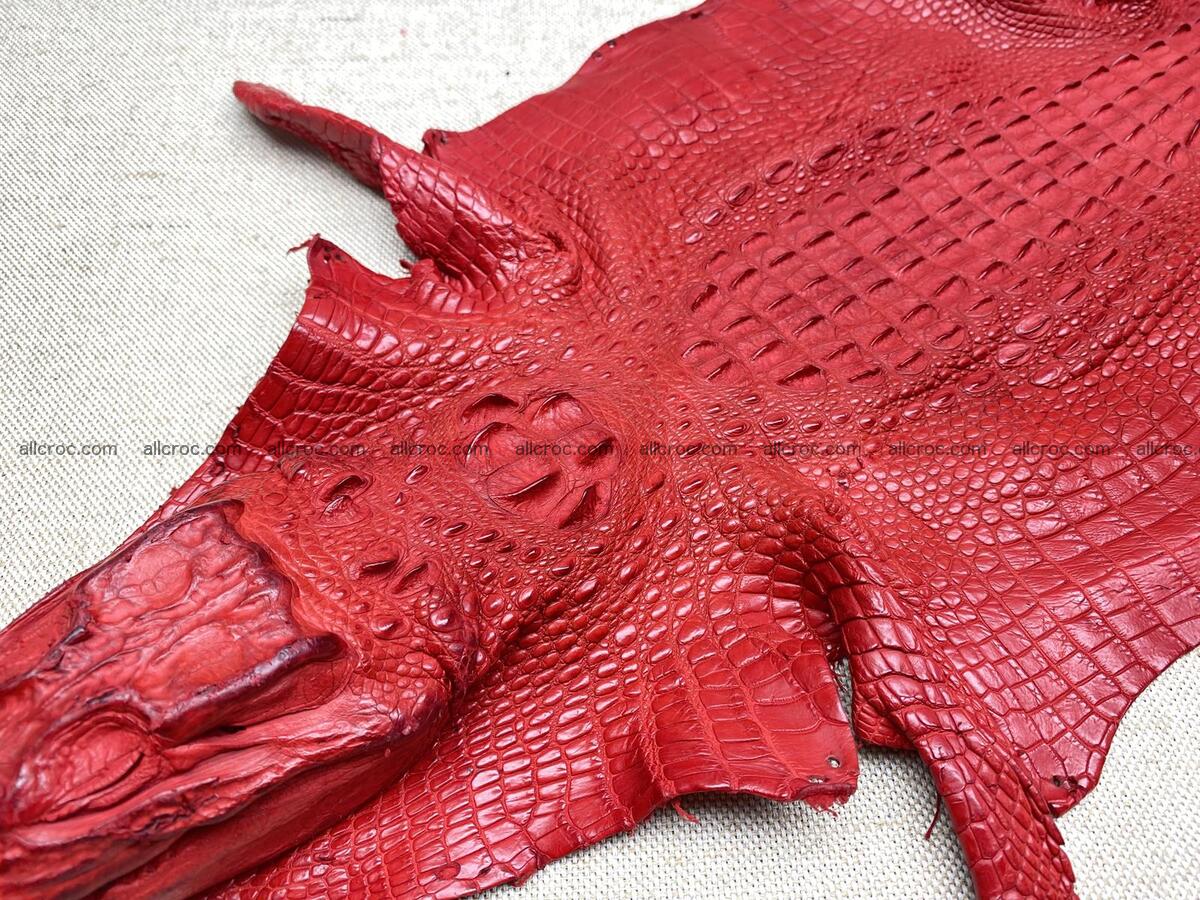 Crocodile leather back part with head and paws 26cm red color 1566 Foto 2