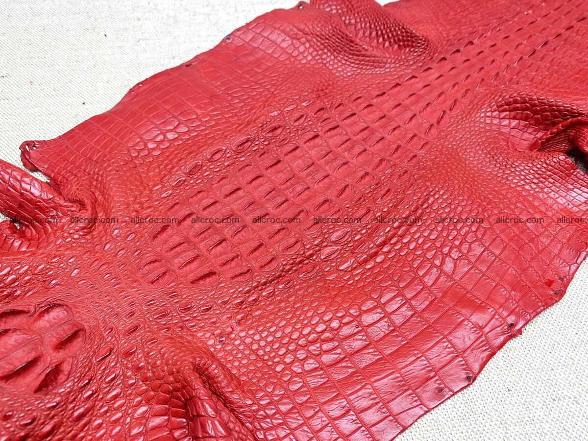 Crocodile leather back part with head and paws 26cm red color 1566 Foto 9