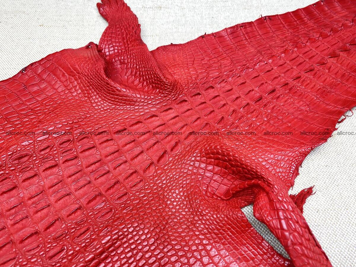 Crocodile leather back part with head and paws 26cm red color 1566 Foto 3