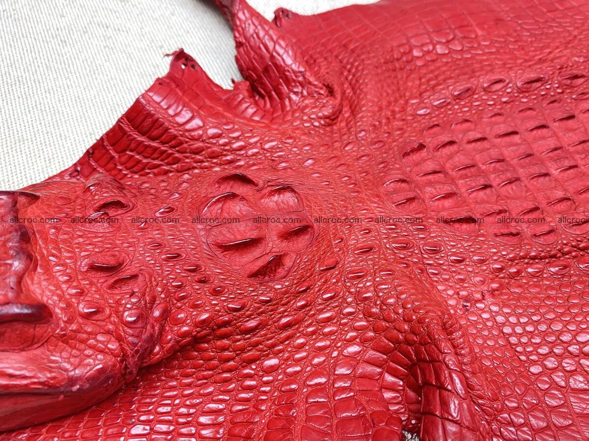 Crocodile leather back part with head and paws 26cm red color 1566 Foto 4
