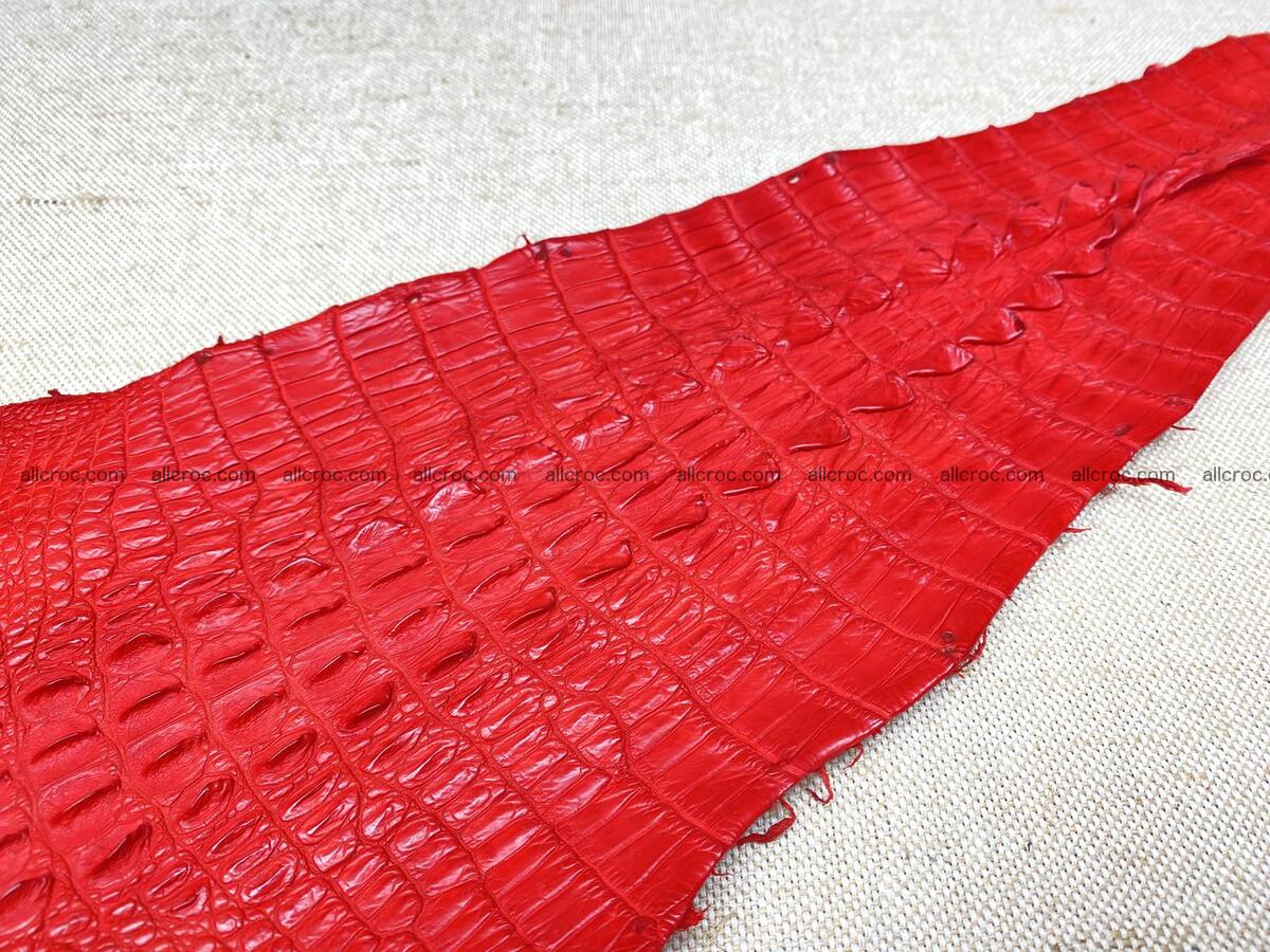 Crocodile leather back part with head and paws 26cm red color 1566 Foto 5