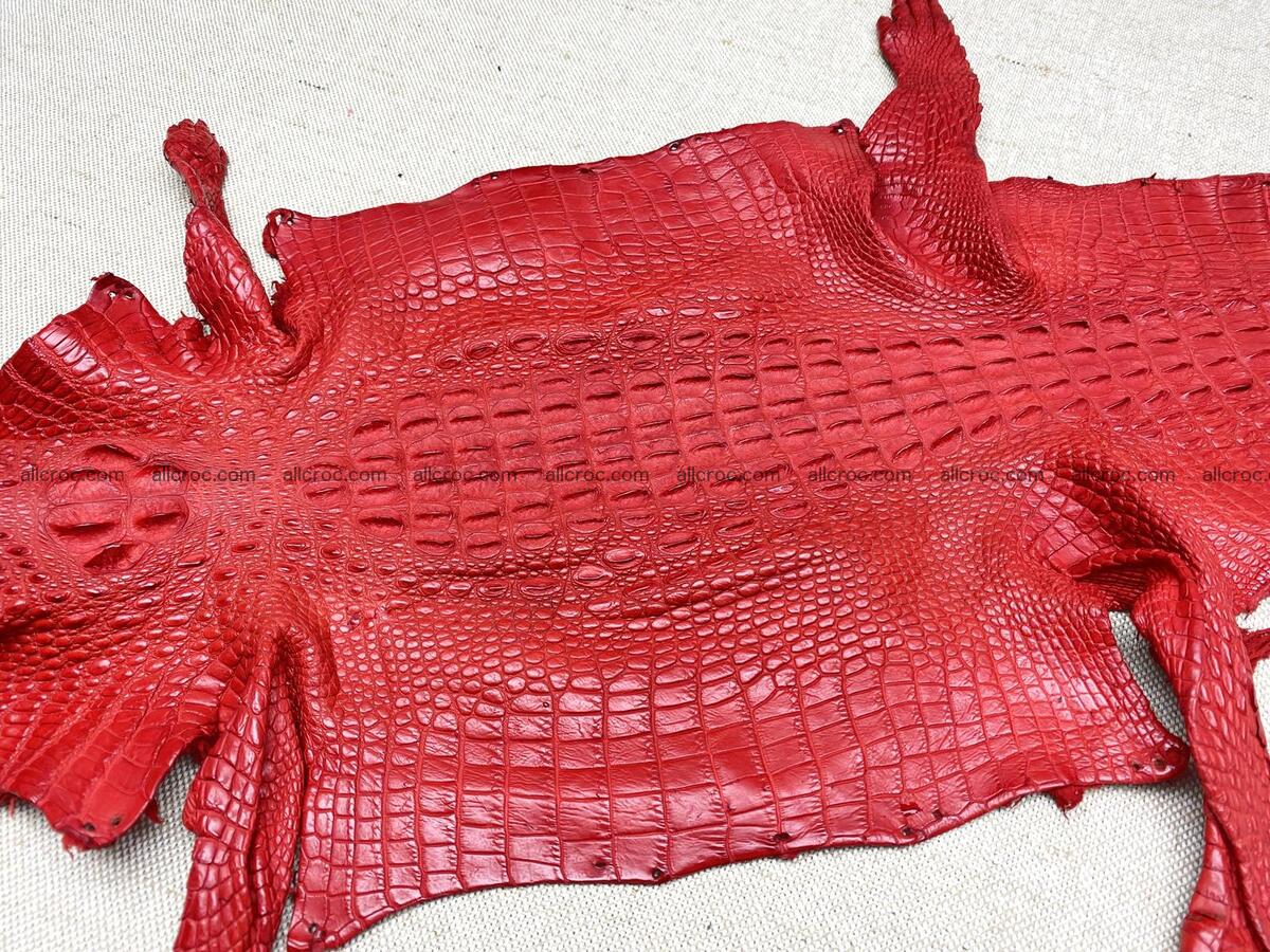 Crocodile leather back part with head and paws 26cm red color 1566 Foto 6