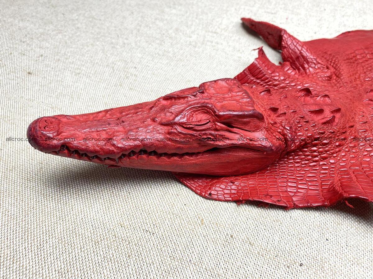Crocodile leather back part with head and paws 26cm red color 1566 Foto 8