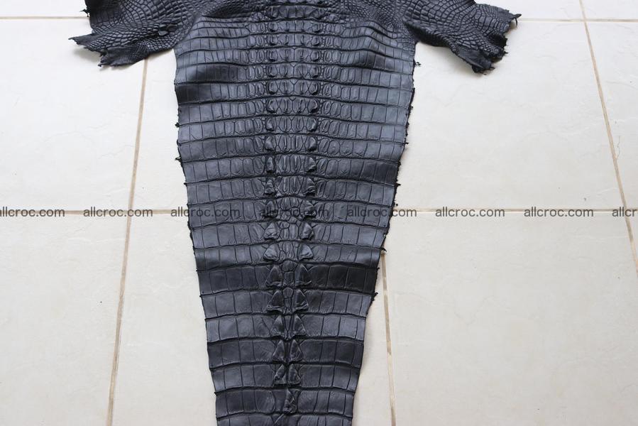 Crocodile skin back part black color 1245