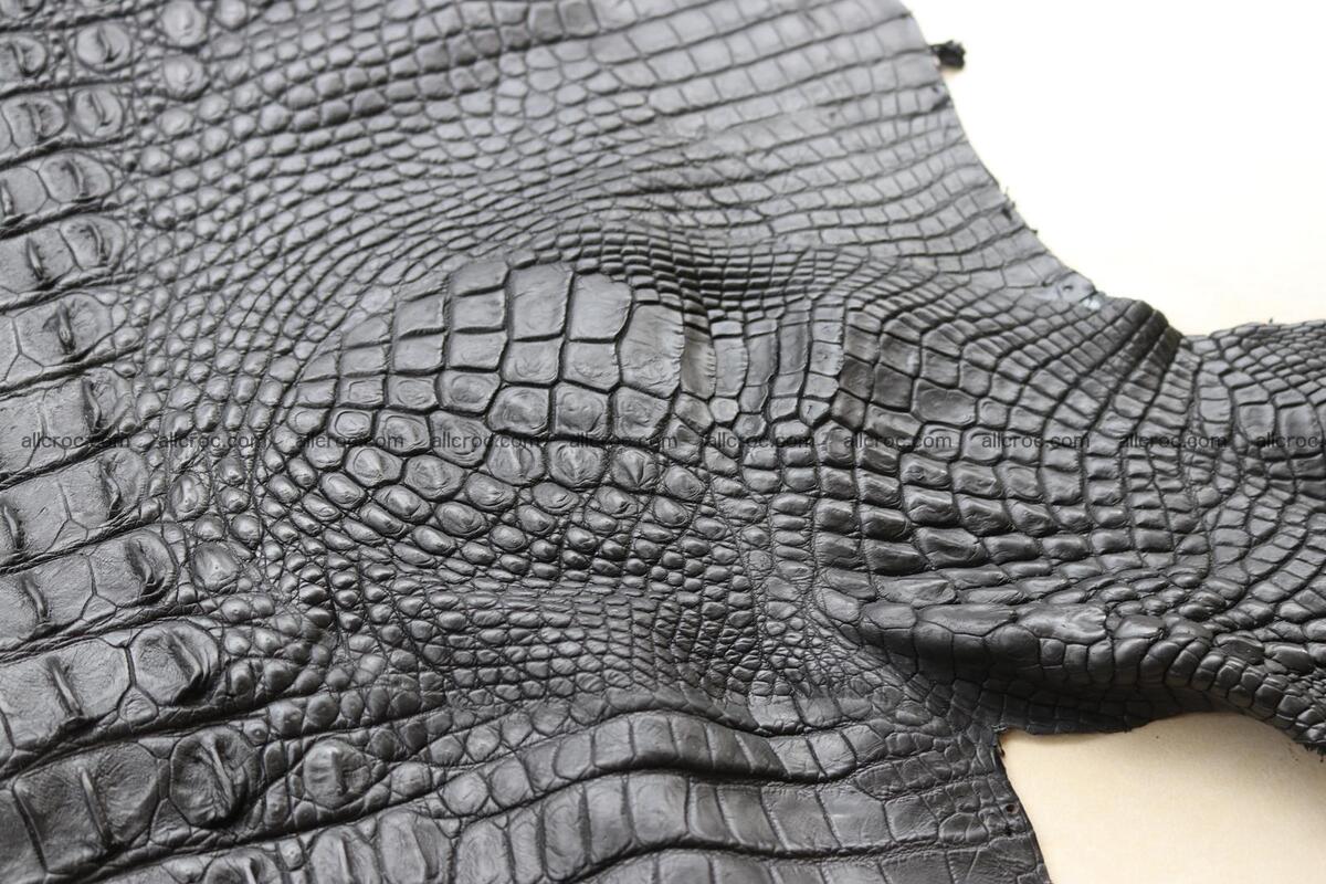 Crocodile skin back part black color 1245 Foto 11