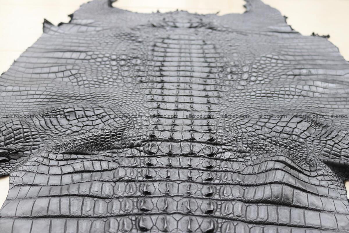 Crocodile skin back part black color 1245 Foto 8